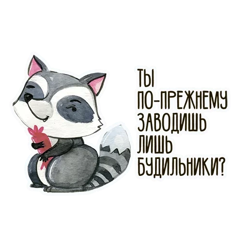 raccoon, phrase, ridiculous quotation