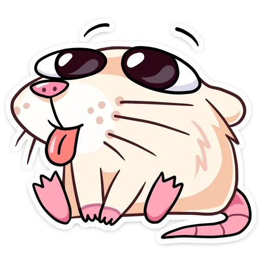 csgorun, the rat is white, ordinary hamster