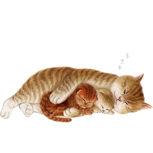 cat, nursing cat, cat illustration, a kitten in a ball, illustration of a cat