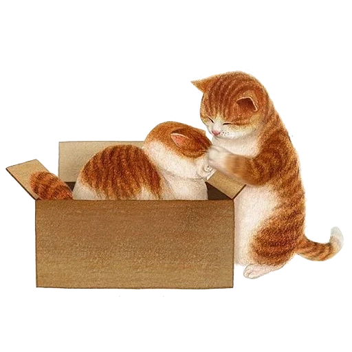 котя арт, nyangsongi, кот коробке, кошачий арт, иллюстрация кошка