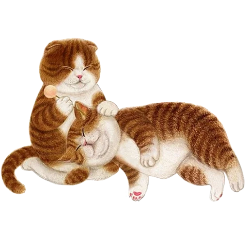 ke jia arte, arte felino, ilustración de gato, las focas se abrazan juntas, gato ilustrado