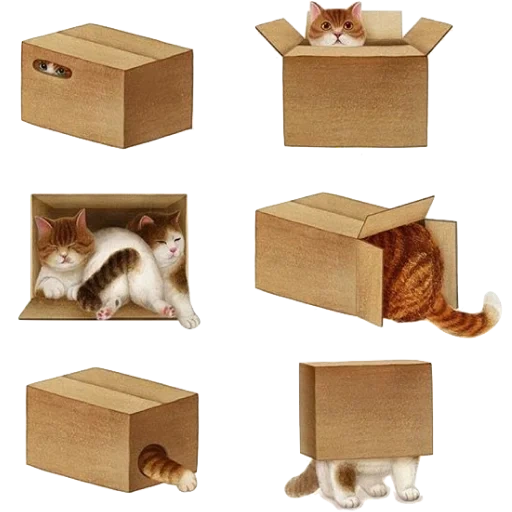 caja, nyangsongi, arte felino, caja, cartón