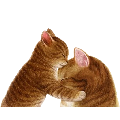 gato, gatos, gato favorito, kitti abraços, nyangsongi coreiana artista
