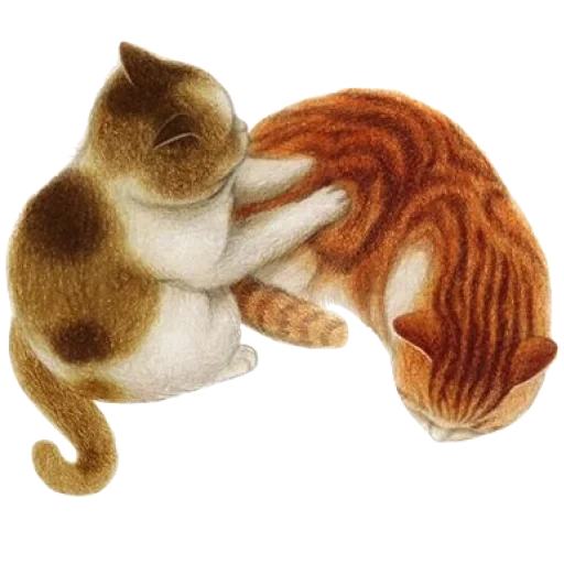 kitti abraços, ilustração de um gato, figuras de gatos de gatos, ilustrador nyangsongi, nyangsongi coreiana artista
