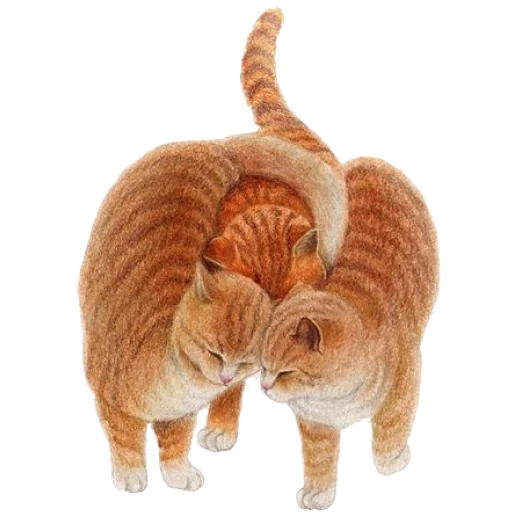 nyangsongi, рыжая кошка, кошки любовь, животные милые, иллюстрация кошка