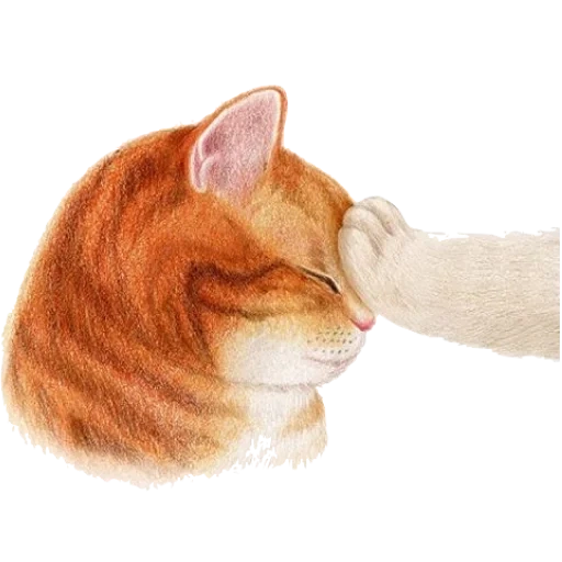 chat, nyangsongi, art des mouches, l'aquarelle de l'image, illustration d'un chat