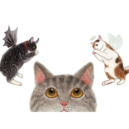 chat, chat, chats, souris de chat, illustration d'un chat