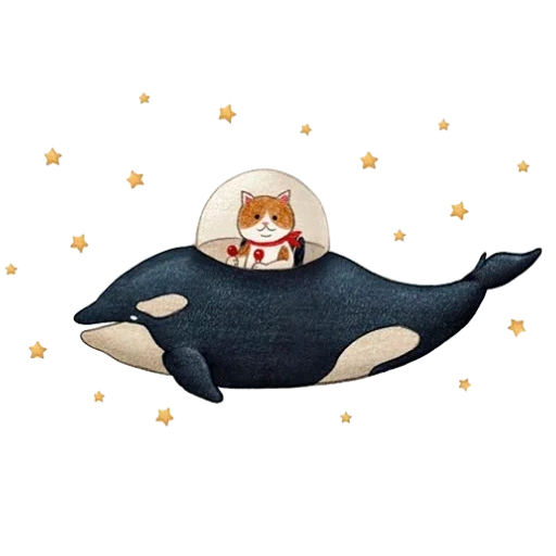 ballena, patrón de ballena, ilustración de ballena, orca blanca, ilustración vectorial