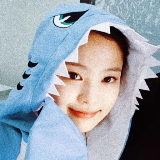 jenny kim, mod coreane, ruby kim twitter, ragazze coreane, blackpink kigurumi