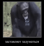 горилла, шимпанзе, обезьяна смешная, курящая обезьяна, задумчивая обезьяна