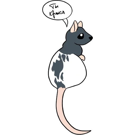 cat, rat, two rats, rat drawing, rat cute art