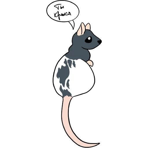 cats, rats, deux rats, rat strip, art mignon de souris