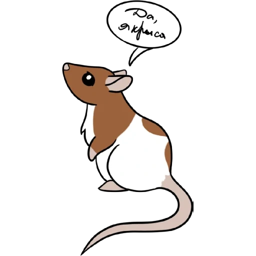 cat, rat, rat mouse, logo rat, rat drawing