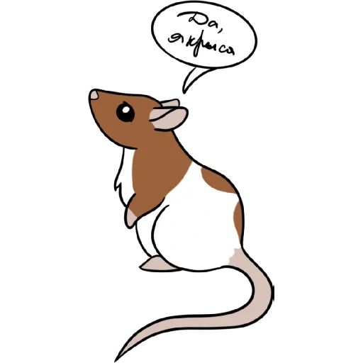 cats, rats, rat rat, signe de souris, rat strip