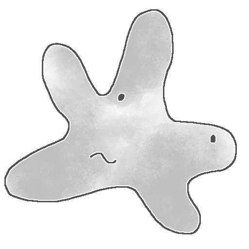 estrella de mar, una ameba ordinaria, el patrón de la estrella del mar, plantilla de la estrella del mar, figura de la estrella del mar