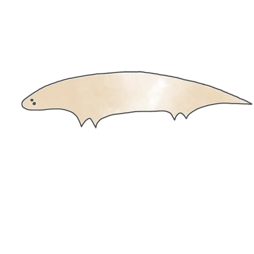 die fledermaus, die silhouette einer fledermaus, die flügel einer fledermaus, die fledermaus ist schematisch, fledermausflügelschablone
