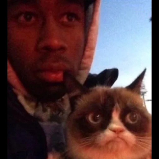 grumpy cat, угрюмый кот, тайлер создатель, tyler the creator котом, tyler the creator grumpy cat