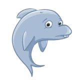 dolphin