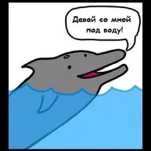 meme delfino, meme delfini, delfino di squalo, fumetto delfino, dolphin divertente