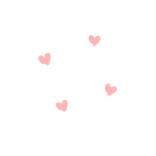 powder hearts, rosa blütenblätter, fall of the heart, leicht pulverförmiges herz, transluzentes herz transparenter boden