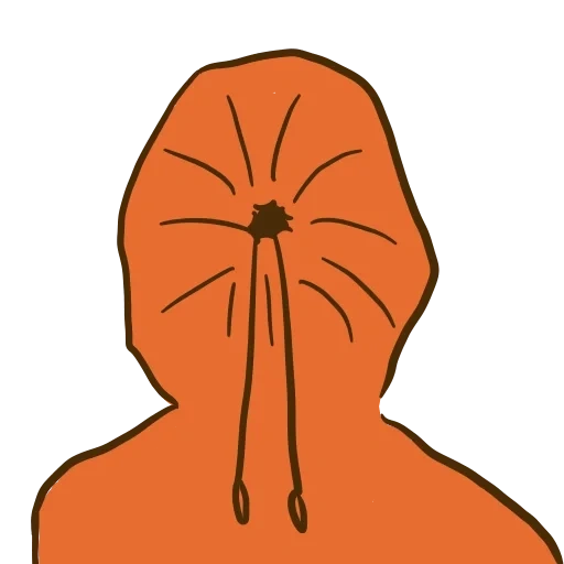 человек, оранжевая шапка, оранжевый капюшон, капюшон балаклава бафф