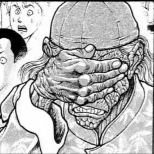 manga, bucky fighter, shamo manga, yuichiro hanma manga, hector doyle fighter baki