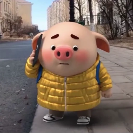 babi, babi, babi 2021 babi, piglet, babi kecil