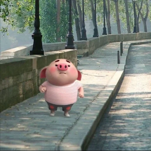 happy pig, cute pig, pig, pig, pig