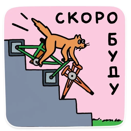 кот