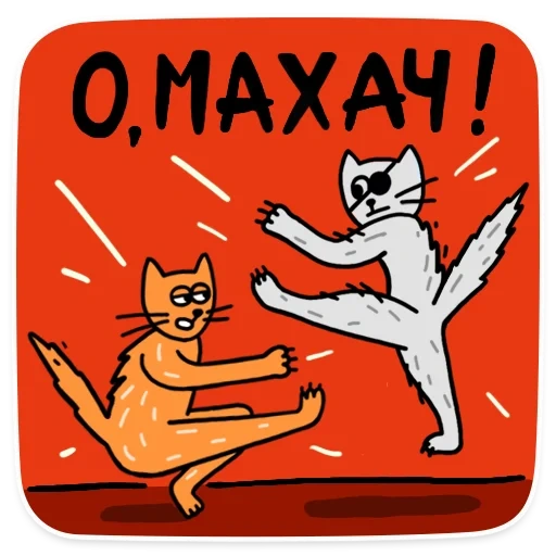 fox, cats, cat