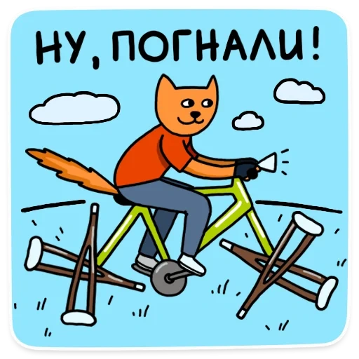 the cat is a bicycle, postcard cat bicycle