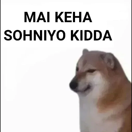 cão meme, fãs de cães lenhosos, motivo de chaigang, cão de madeira, modelo de cão de madeira