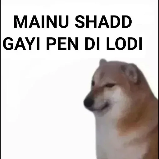 cão de madeira, cão meme, cachorro, motivo de chaigang, modelo de cão de madeira