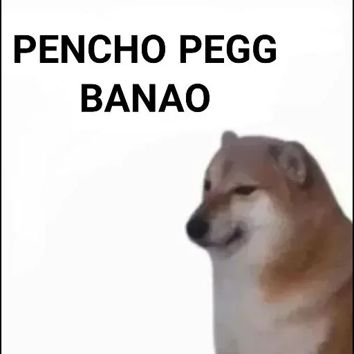 motivo de cão, cão meme, fãs de cães lenhosos, cão de madeira, modelo de cão de madeira