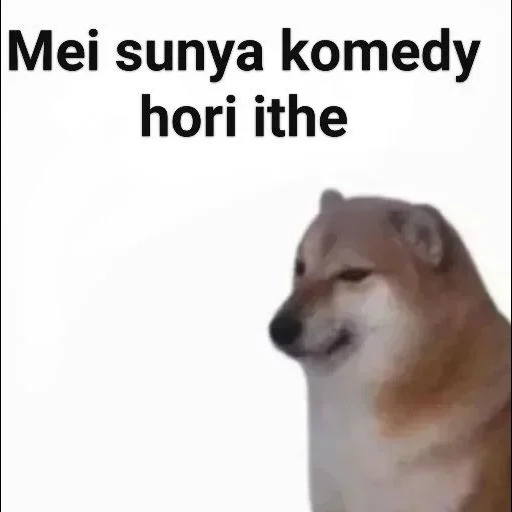 cão de madeira, motivo de cão, cão meme, fãs de cães lenhosos, os fãs de seba explicaram a tua pequenina