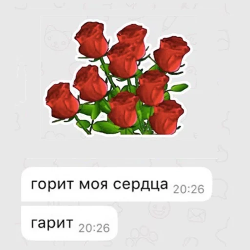 мое сердце горит, скриншот, красные розы, любимые розы, красные цветы