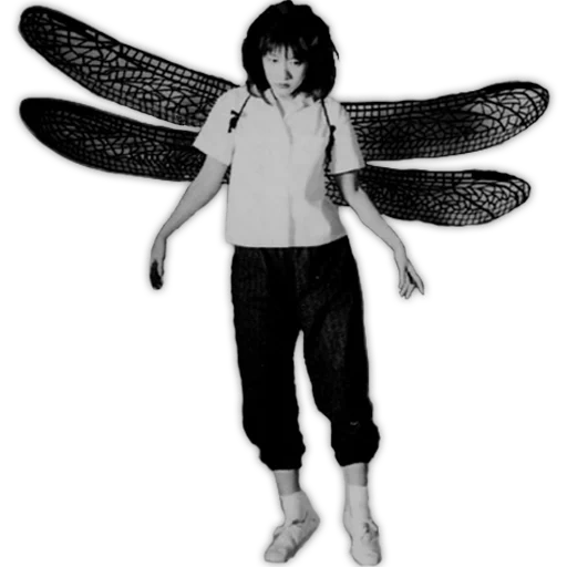 garçon, jun togawa, ailes féériques, jun togawa 2020, la silhouette de la fée du garçon
