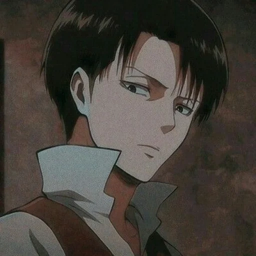 levi, levi ackerman, levi ackerman, titans menyerang levy, levi ackerman menyerang titan