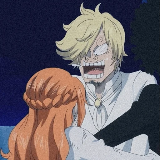 van pis, casal de anime, personagem de anime, sanjay tell nami, nikki cosette van pis