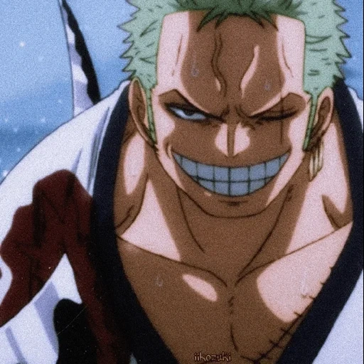 zoro, van pies, loronoa zorro, ein stück zoro, ein stück luffy