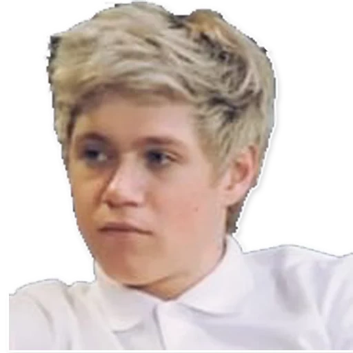 horan, junge, twitter, auf twitter, epileptick1d meme