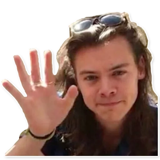 orang, anak laki-laki, harry styles, harry styles 2016, harry styles adalah penggemar