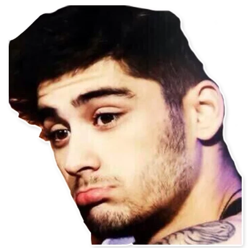 zane, singers, the male, zane malik, nice guys