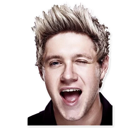 neil holland, neil holland 2021, one direction nile horan 2015