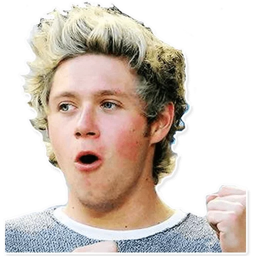 chico, niall horan, niall horan nicole, niall james horan 2013, one direction nial horan 2015