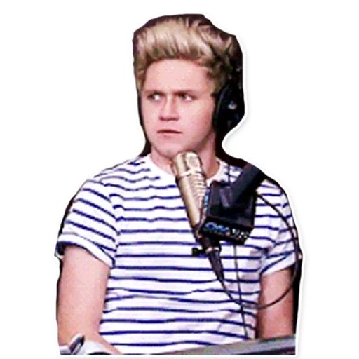 horan, 2021 memes, niall horan