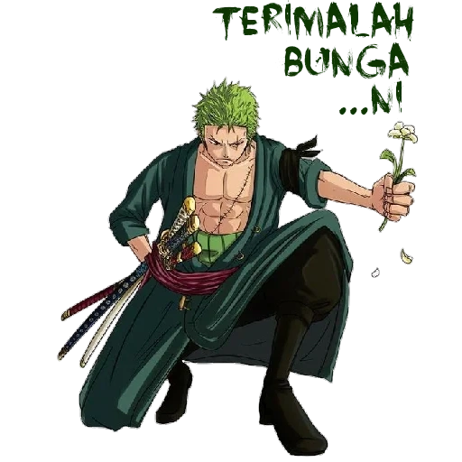 zoro, ророноа зоро, one piece zoro, аниме one piece, рост зоро ван пис