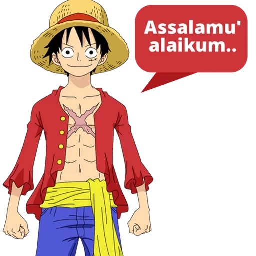 vuela por la carretera, wang lufei, manki de luffy, luffy van piss, luffy mujivalah