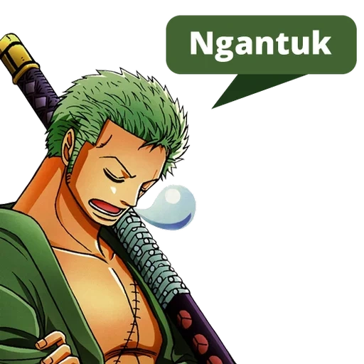 zoro, zoro vano, roronoa zoro, ein stück zoro, zoro roronoa zoro