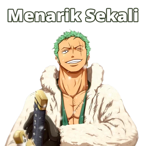 zoro, van piszorro, zorro rolonoa, one piece zoro, van piszoro ark vano